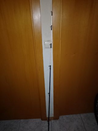 Puntera de carbono para caña de pescar
