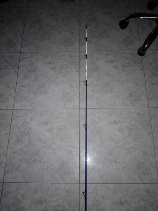Puntera de carbono para caña de pescar