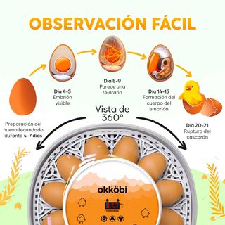 NUEVO | OKKOBI M12 INCUBADORA AUTOMATICA 12/24 HUE