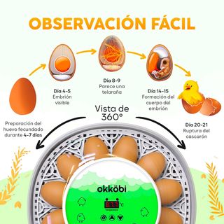 NUEVO | OKKOBI M12 INCUBADORA AUTOMATICA 12/24 HUE