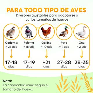 NUEVO | OKKOBI M12 INCUBADORA AUTOMATICA 12/24 HUE