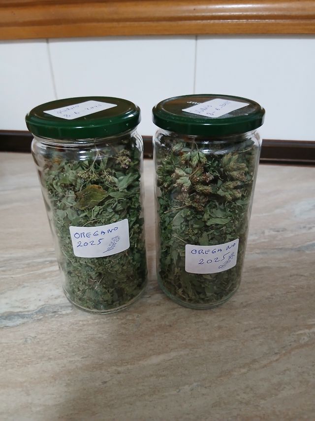 Orégano y Laurel Seco 2025