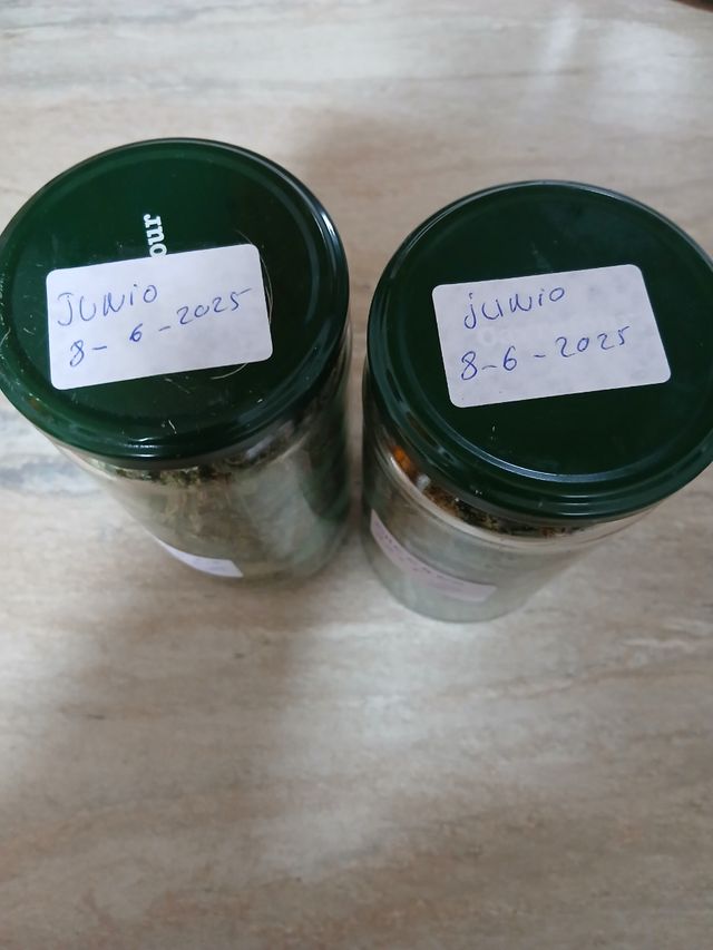 Orégano y Laurel Seco 2025