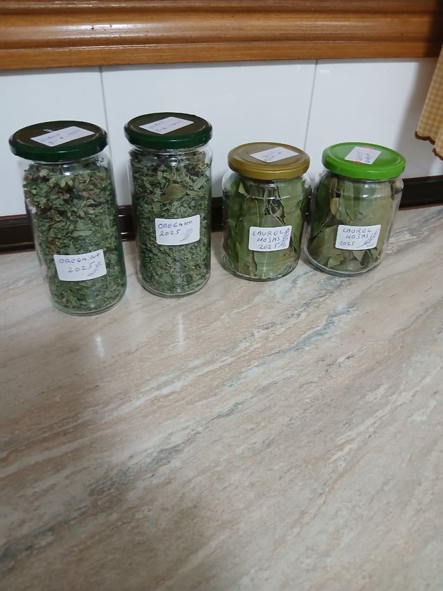 Orégano y Laurel Seco 2025