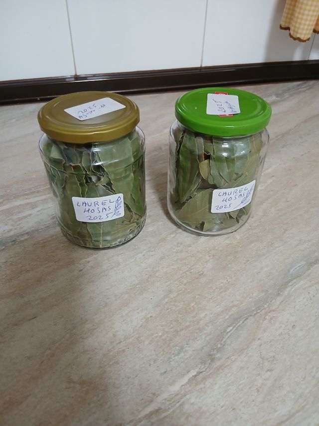 Orégano y Laurel Seco 2025