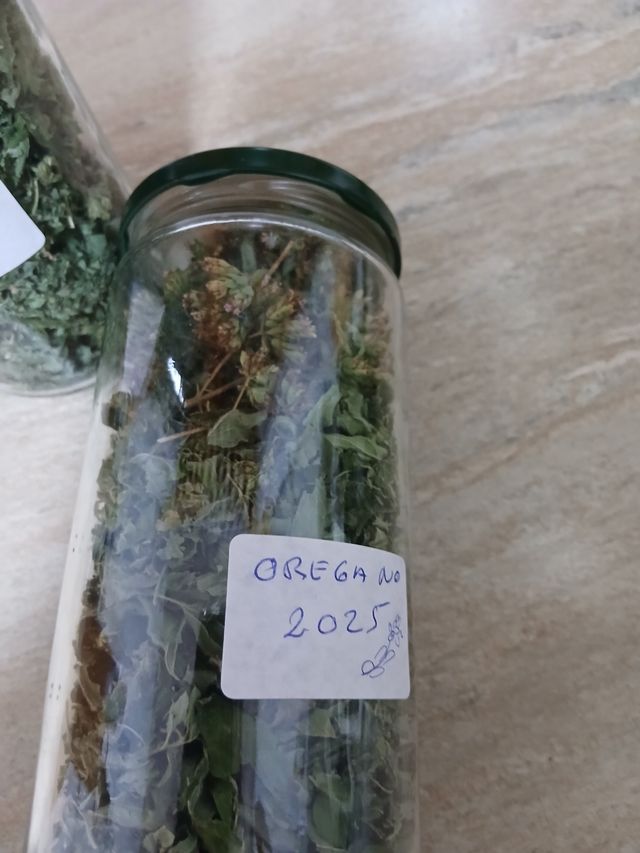 Orégano y Laurel Seco 2025