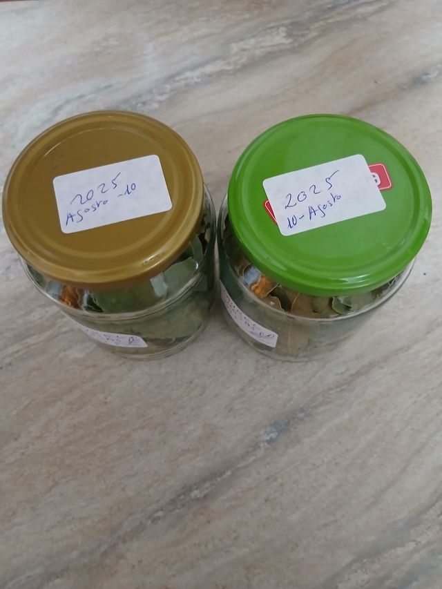 Orégano y Laurel Seco 2025