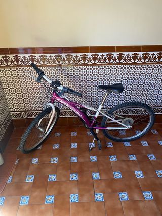 Bicicleta Infantil Montaña Morada