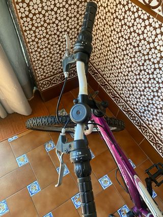 Bicicleta Infantil Montaña Morada