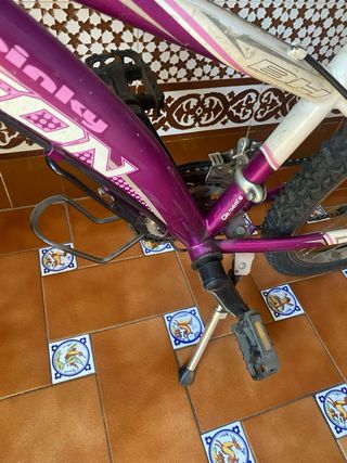Bicicleta Infantil Montaña Morada