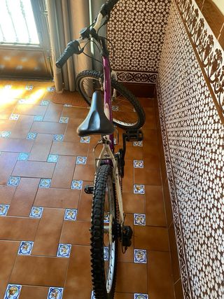 Bicicleta Infantil Montaña Morada