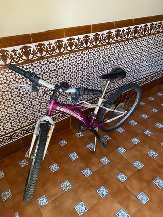 Bicicleta Infantil Montaña Morada