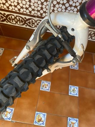 Bicicleta Infantil Montaña Morada