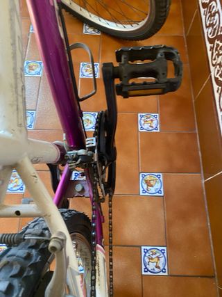 Bicicleta Infantil Montaña Morada