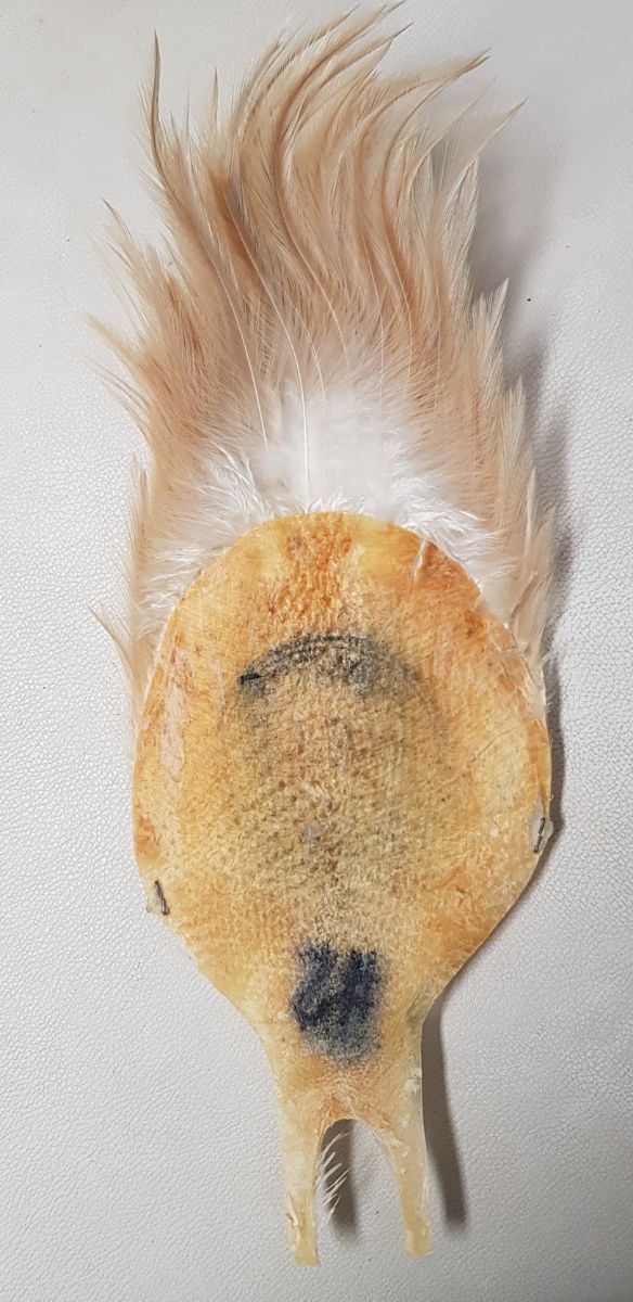 Cuello de gallo Metz 
Color LIGHT  CREAM