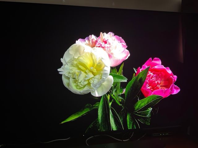 TV Sony Bravia XR 55 X90L Full Array LED Google TV