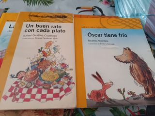 Lote de libros