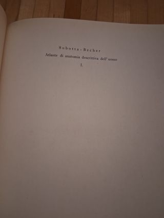 Atlante di Anatomia descrittiva dell'uomo.