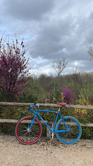 Bicicleta Fixie Azul vintage de colores