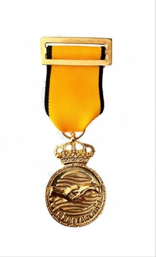 Medalla conmemorativa de la dana