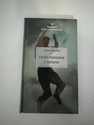 Libros de grandes escritores.