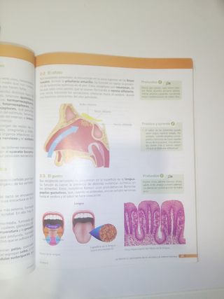Libro Biología y Geología 3º ESO