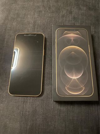 iPhone 12 Pro Max