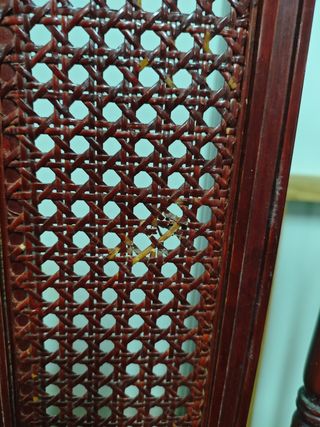 Mesa de salón con 6 sillas