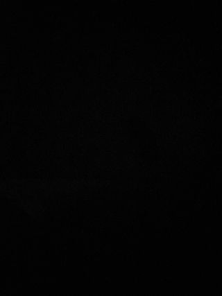 Cuidado de mascotas en vacaciones, fines de semana