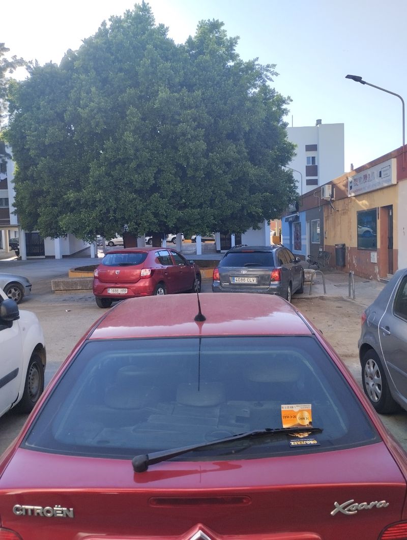 Citroen Xsara 2000 - foto 1