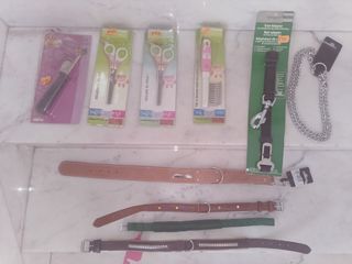 Collari, cinghie e forbici per animali domestici