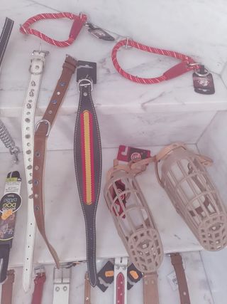 Collari, cinghie e forbici per animali domestici