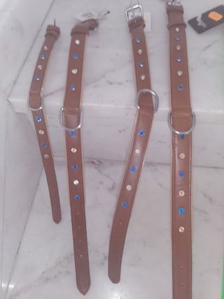 Collari, cinghie e forbici per animali domestici