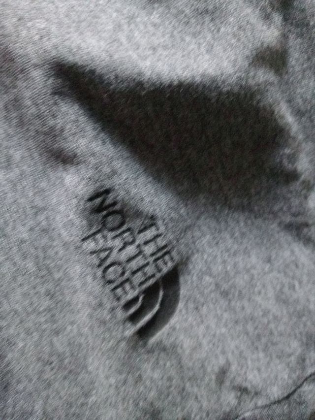 Camiseta The North Face Gris