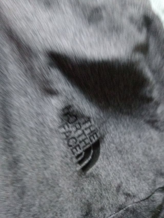 Camiseta The North Face Gris