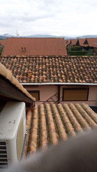 Multigremios estella