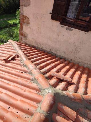 Multigremios estella