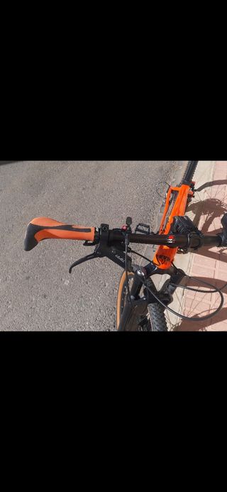 Bicicleta de Montaña Lobito Carbono