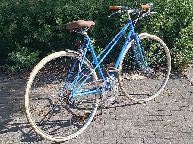 Bicicleta Paseo Clásica Azul
