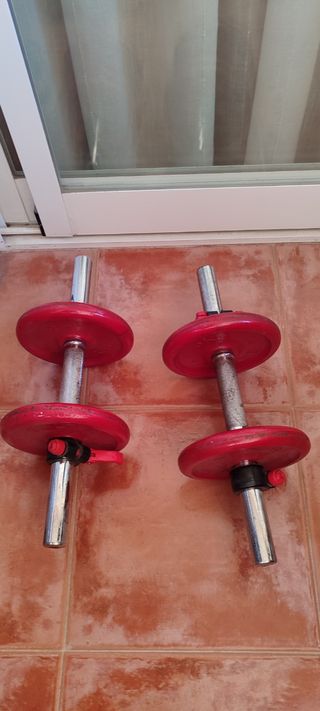 Mancuernas 8 kg