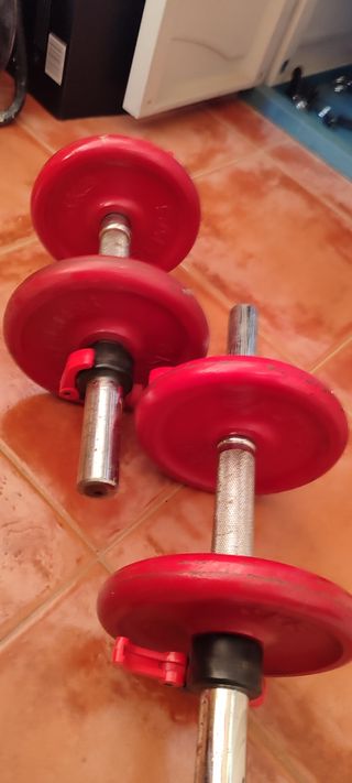 Mancuernas 8 kg