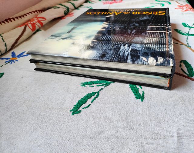 Señor Anillos. Arte Comunidad Anillo y Dos Torres.