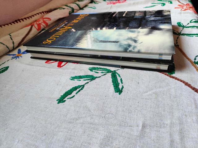 Señor Anillos. Arte Comunidad Anillo y Dos Torres.