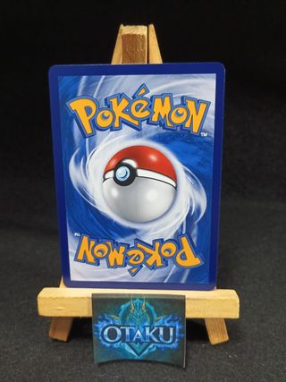 Carta Pokémon - Lucario & Melmetal