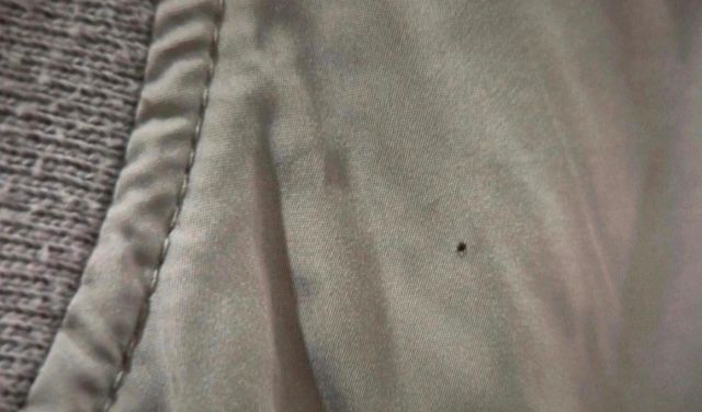 Chaqueta Bershka Hombre Beige Entretiempo