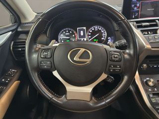 Lexus NX 2.5 300h F Sport Panorámico