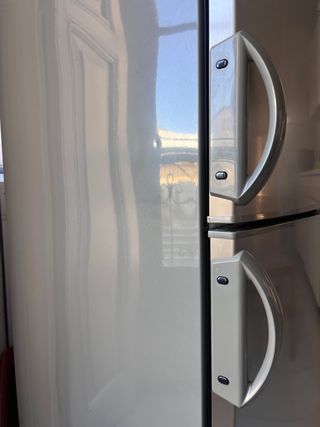 Frigorífico combi Zanussi Inox ZRB 36 NVX