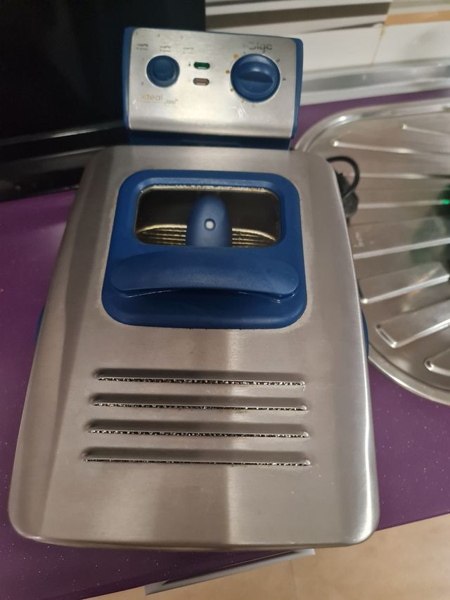 Freidora de Aceite Eléctrica