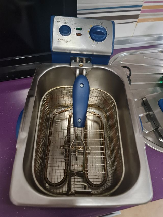 Freidora de Aceite Eléctrica