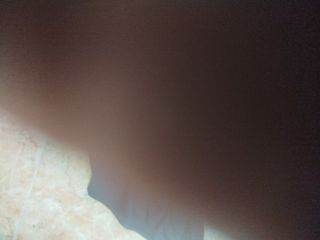 Bañador Spyro Negro y Rosa